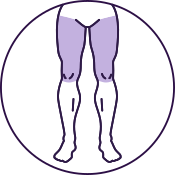Legs (Upper)